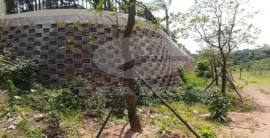 122cc太阳集成游戏(中国)有限公司官网